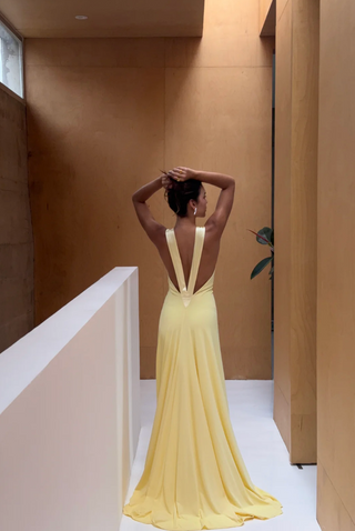 Rosa Dress